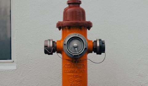 pexels-anatoleos-30918683