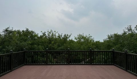 pexels-shuaizhi-tian-485596-28295891