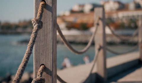 pexels-vietrov-851029180-19541363